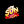 sunwinincocom
