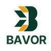 BAVOR CONSULTING